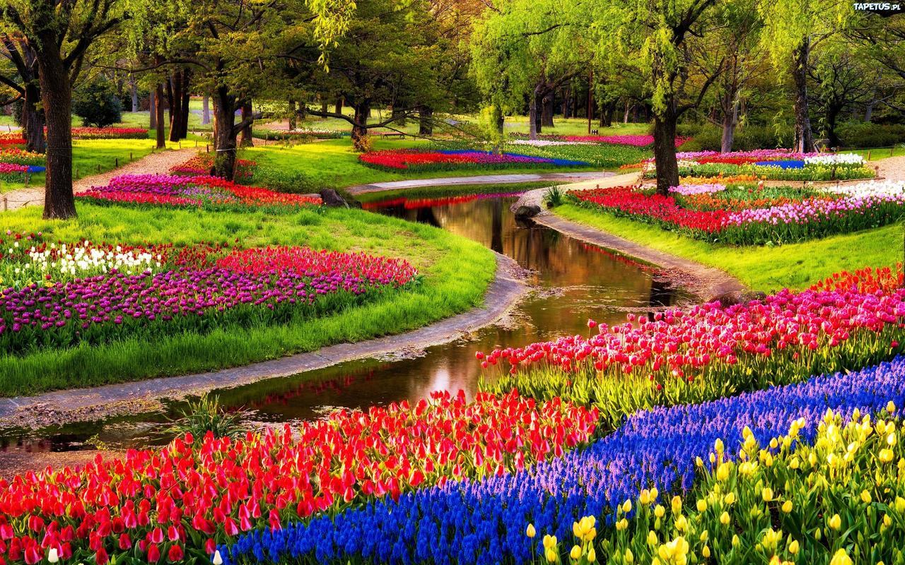 Boutique Suites Lisse - Keukenhof Esterno foto