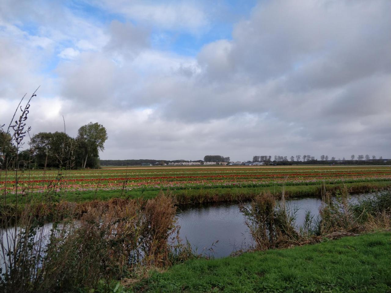 Boutique Suites Lisse - Keukenhof Esterno foto